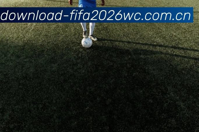 FIFA官方认证